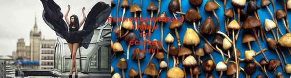 марки lsd Белоозёрский
