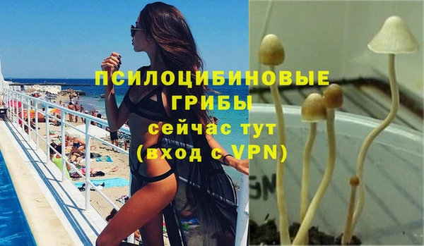 СК Гвардейск