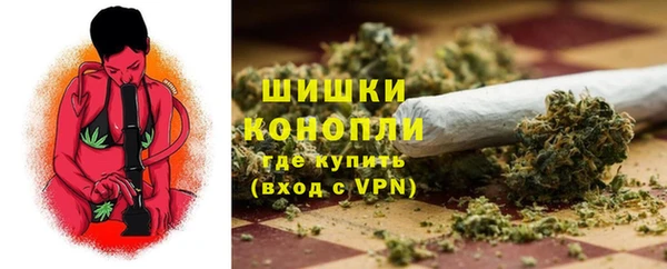 стаф Лабытнанги